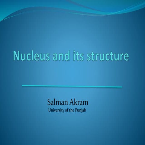 Nucleus Structure
