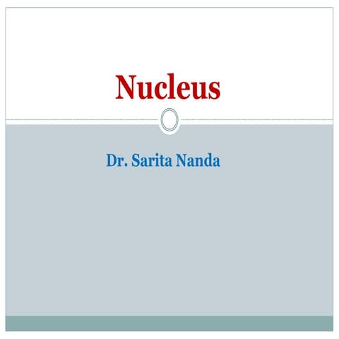 Nucleus