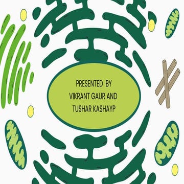 Nucleus.The Nucleus: Command Center of the Cel