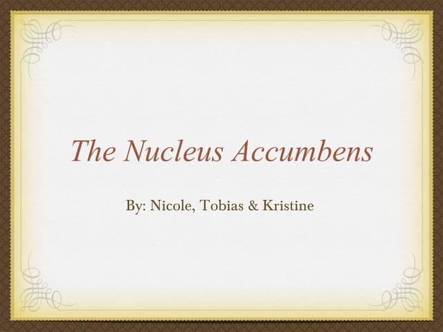 Nucleus accumbens-presentation
