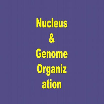 Nucleus-Genome-Organization-in plants.pptx