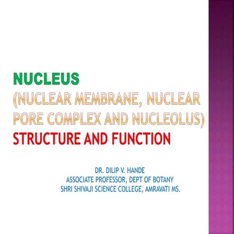 Nucleus 