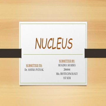 Nucleus 