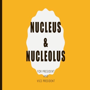 2018 Candidate - Nucleus & Nucleolus