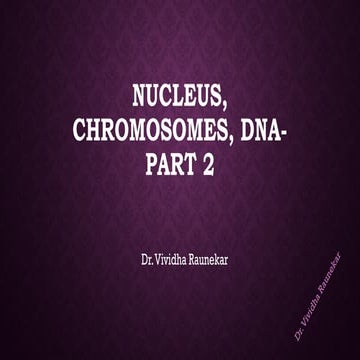 Nucleus, chromosomes, DNA- Extended explanation