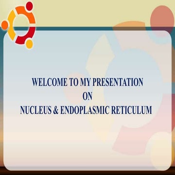 Nucleus & Endoplasmic reticulum