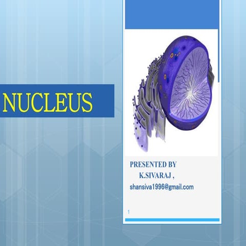 Nucleus sivaraj