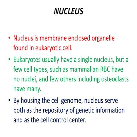 Nucleus sk