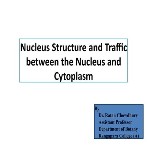 Nucleus structure and the traffic between nucleus and cytoplasm