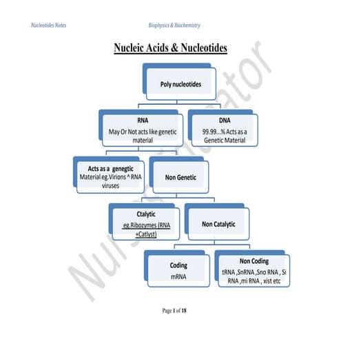 Nucleotides & Nucleic Acids Notes for Biophysics and Biochemistry
