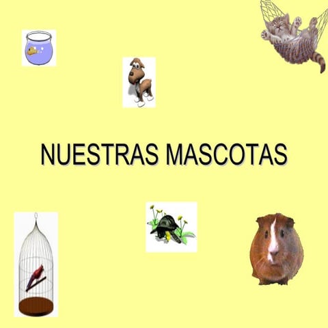 Nuestras mascotas