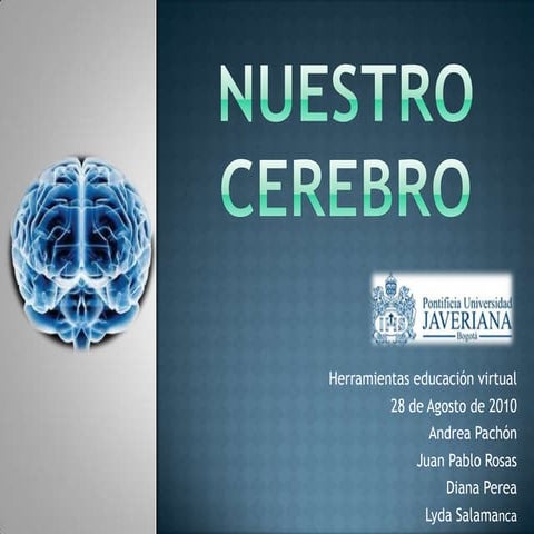 Nuestro cerebro HEV