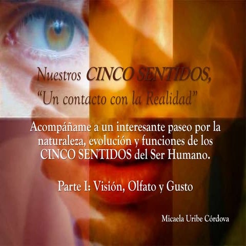 Nuestros cinco sentidos - Parte 1