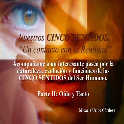 Nuestroscincosentidos   parte ii
