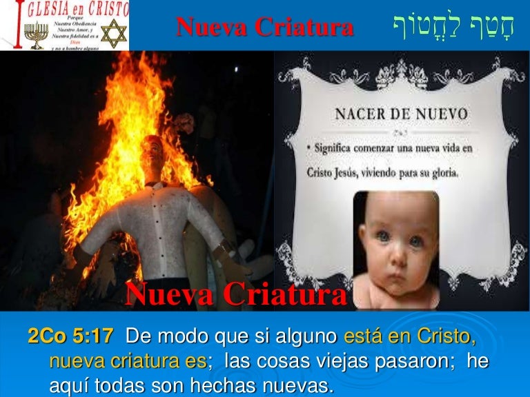 Nueva Criatura
