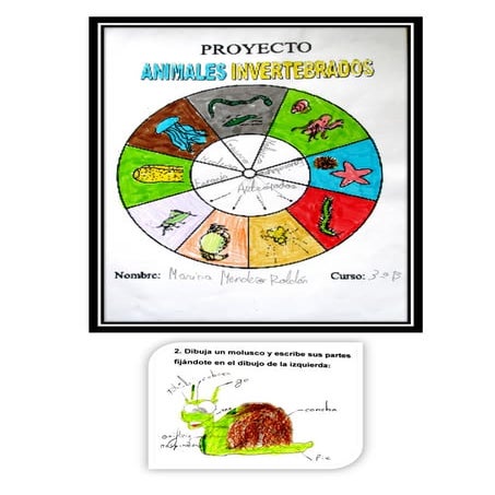 Trabajo Cooperativo sobre Animales invertebrados