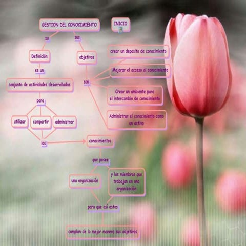 GESTION DEL CONOCIMIENTO