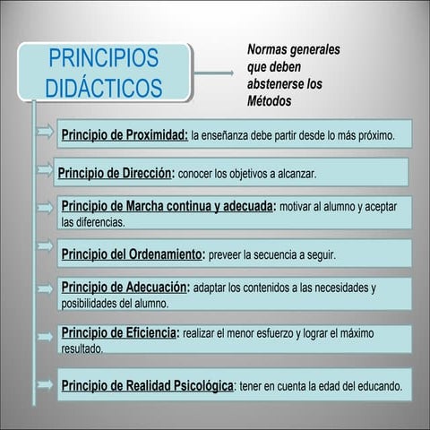 Principios Didácticos
