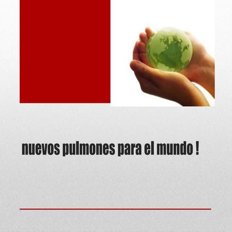 Nuevos pulmones para el mundo!! (1)