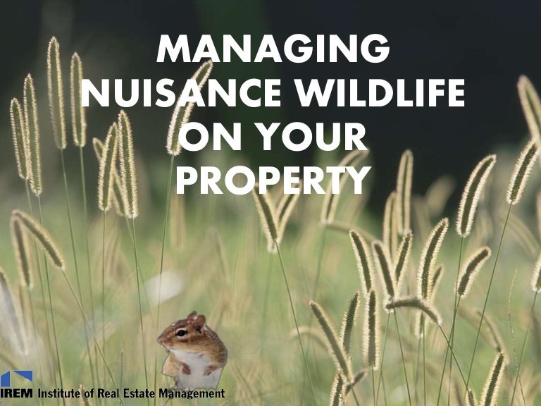 Nuisance wildlife
