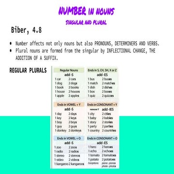 NUMBER & GENDER in nouns apuntesingles.pptx