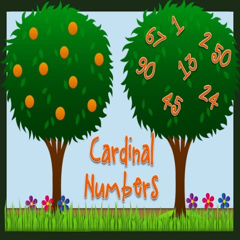 Numbers 1 to 100: Flashcards