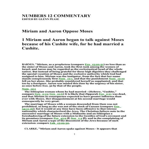 numbers-12-commentary-pdf