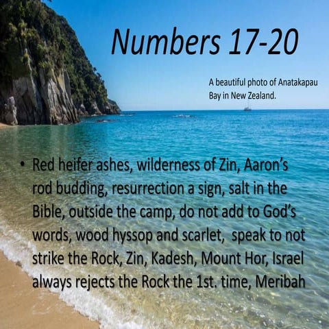 Numbers 17-20, Red heifer ashes, Zin, rod budding, resurrection a sign ...