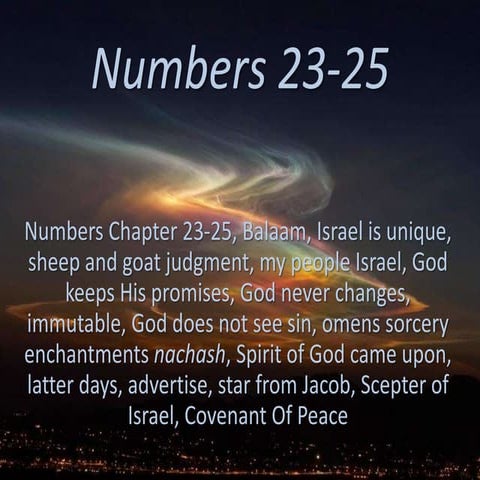Numbers 15-16, Presumptuous unintentional ignorance sin, grumbling ...