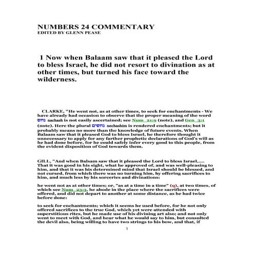 Numbers 24 commentary | PDF