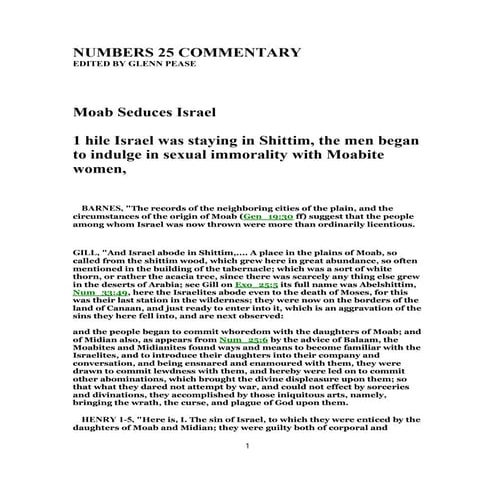Numbers 25 commentary