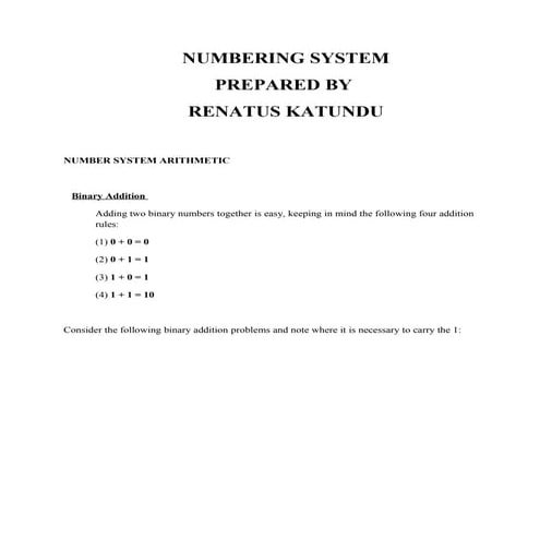 Number system arithmetic | PDF