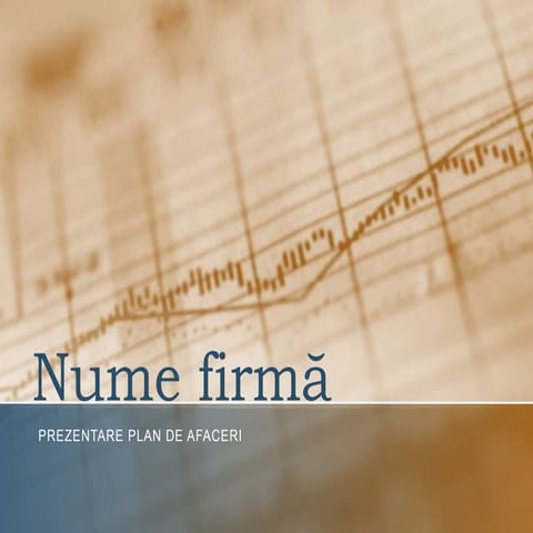Nume firmă 3