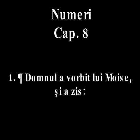 Numer 08