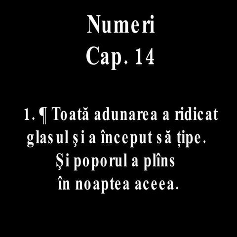 Numer 14