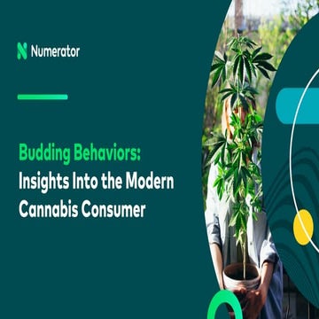 2024 Numerator Consumer Study of Cannabis Usage