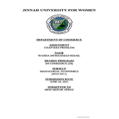 Managerial Economics Problems