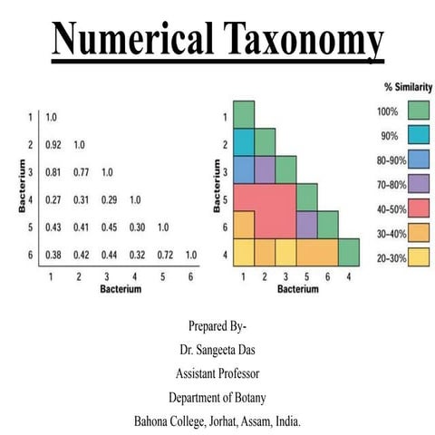 Numerical taxonomy_Plant Taxonomy