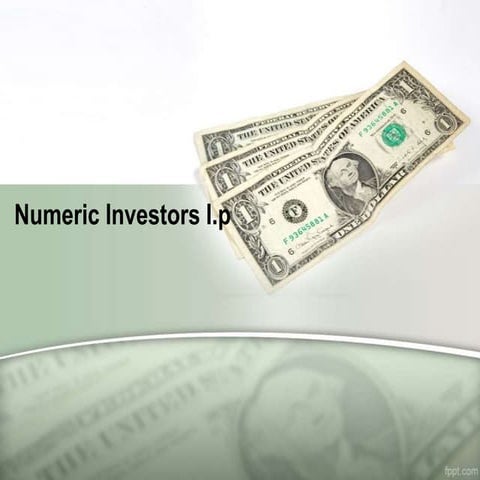 Numeric investors
