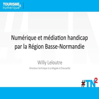 Numérique et médiation handicap