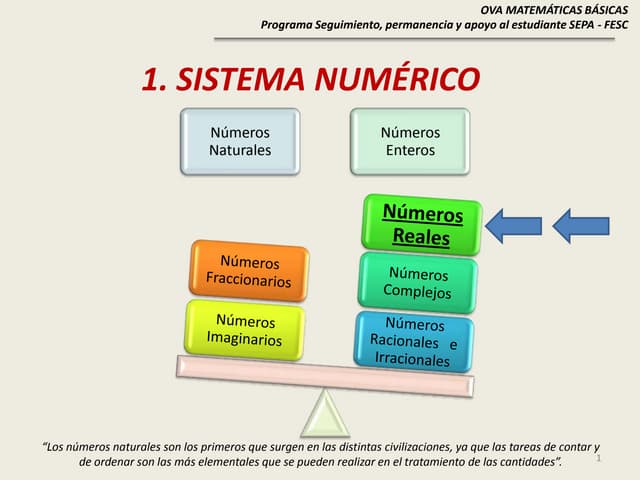 Numeros Reales