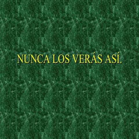 Nunca Los VeráS Así