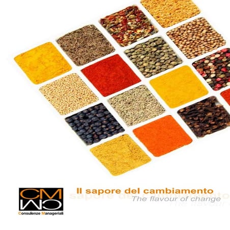 Nuova Brochure CM Consulenze Manageriali