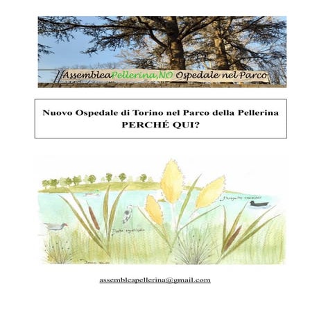 Nuovo Ospedale di Torino nel Parco della Pellerina PERCHÉ QUI