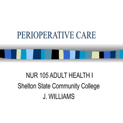 nur 105 adult health 2006 perioperative care.ppt
