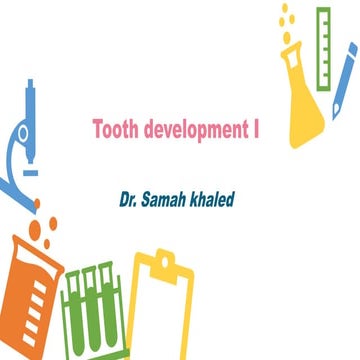 Tooth development 1   