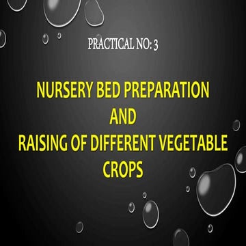 Nursery bed preparation and raising different vegetable crops