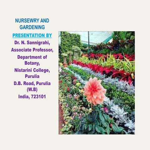 seed production, Nursery & Gardening.pdf
