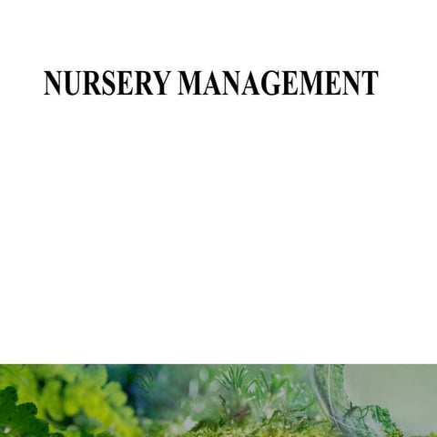 NURSERY MANAGEMENT.pptx