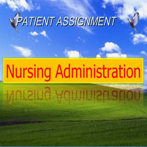 Nursing assignment